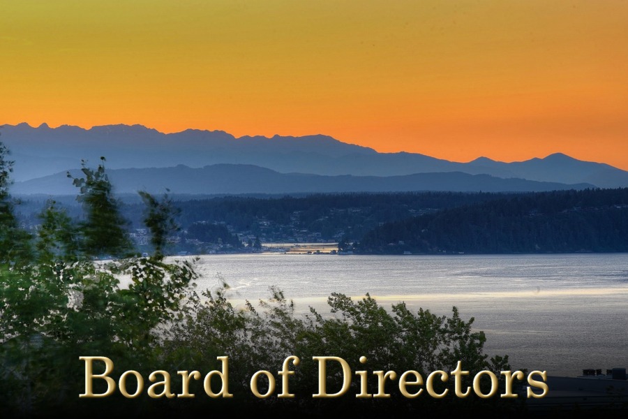Read more: Gold Pointe COA Board of Directors